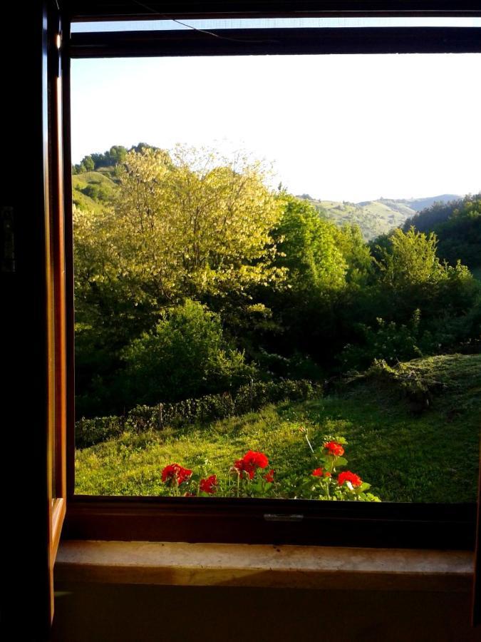 Agriturismo Il Casale Pica Posta エクステリア 写真