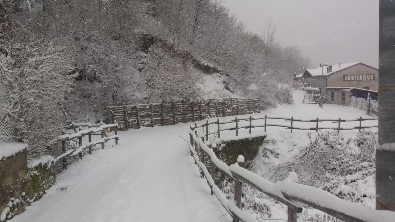 Agriturismo Il Casale Pica Posta エクステリア 写真