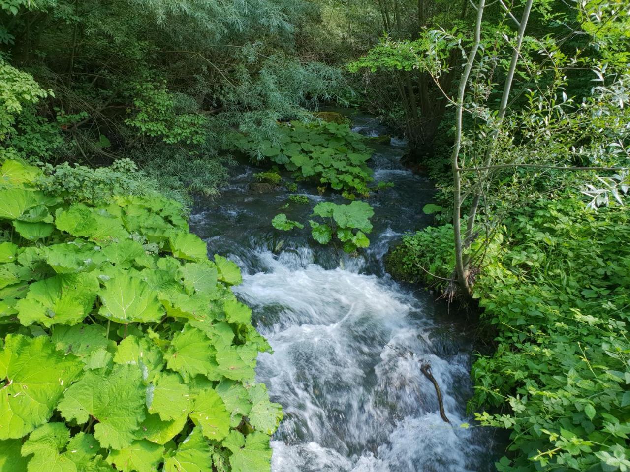 Agriturismo Il Casale Pica Posta エクステリア 写真